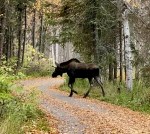 4923F74D-6CF8-45EF-B521-6F047E4628A4_1_201_a