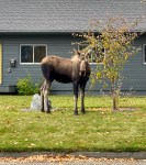 7021E9A2-73B2-42D7-B503-946606113D16